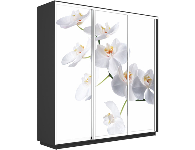 Шкаф-купе Экспресс Люкс 3-х дверный (Фото №1025 Орхидея белая), Серый диамант